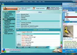Phần mềm English Studay Pro