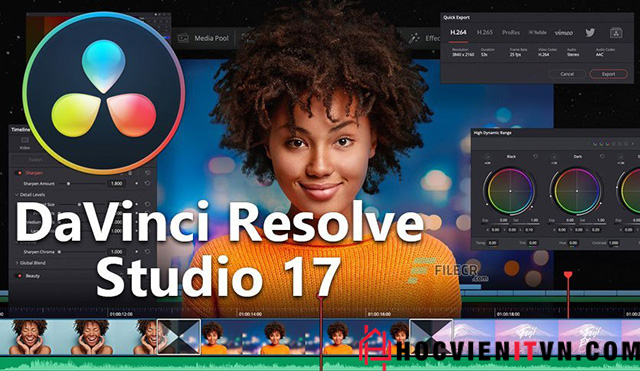 DaVinci Resolve Studio 17