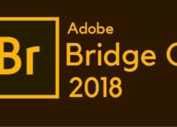 Bridge CC 2018 là gì?