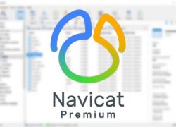 Navicat Premium 15 cho phép người dùng quản lý đa dạng hệ thống cơ sở dữ liệu