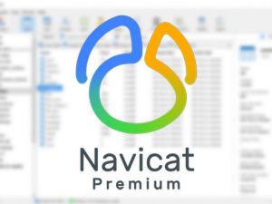 Navicat Premium 15 cho phép người dùng quản lý đa dạng hệ thống cơ sở dữ liệu